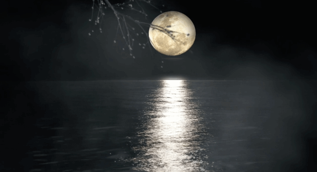 4. dec. Fuldmåne meditation kopi