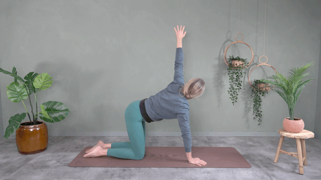 5. dec. Sund og stærk ryg kopi