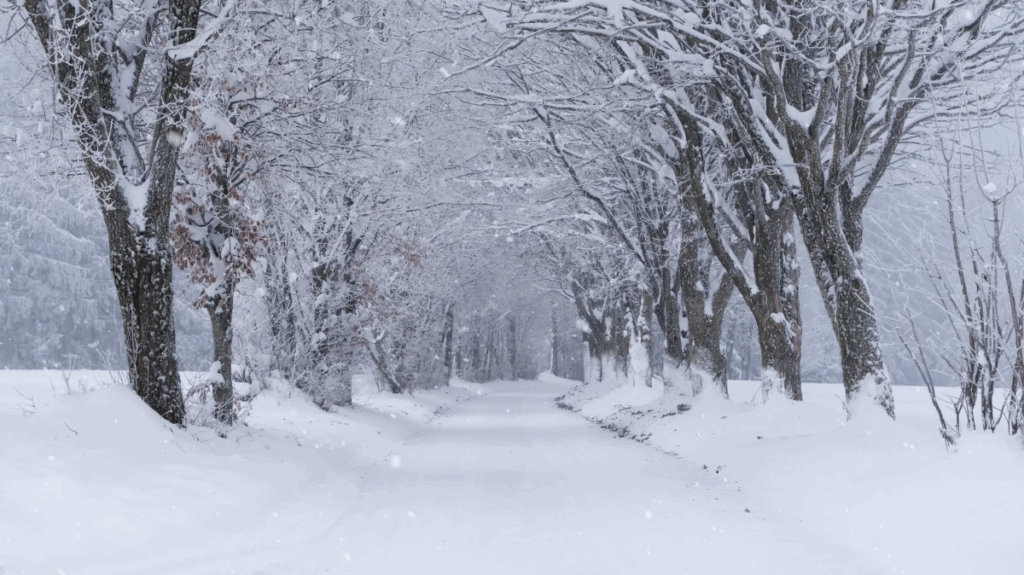 Vinterens stille rum kopi